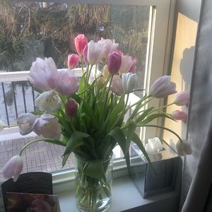 Meet your Posher, A & L